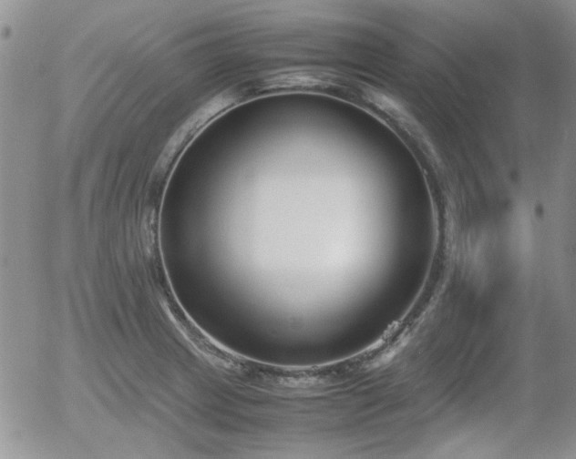 X0000058101233200509261201