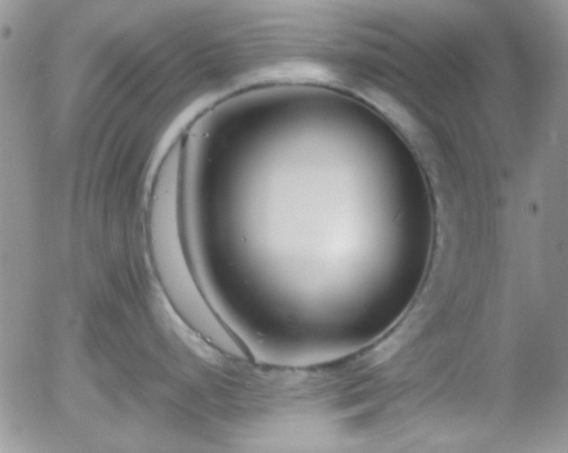 X0000058101248200509261201