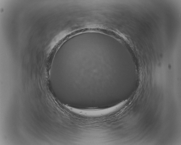 X0000058101263200509261200