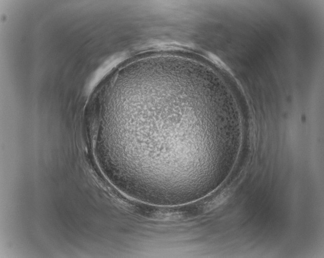 X0000058101269200509261200