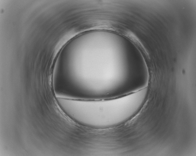 X0000058101284200509261200