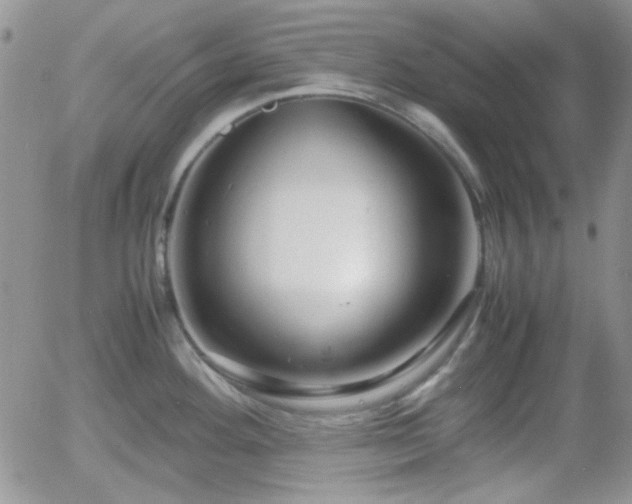 X0000058101292200509261200