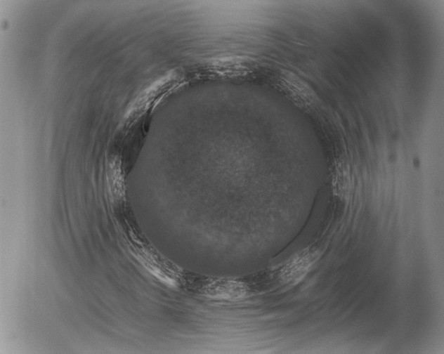 X0000058101298200509261159