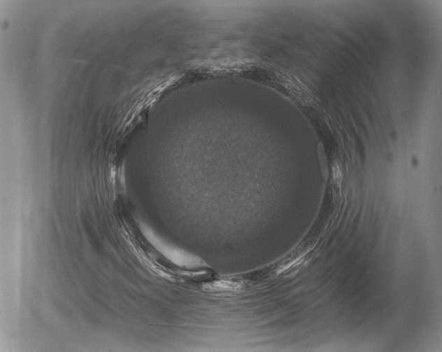 X0000058101300200509261159