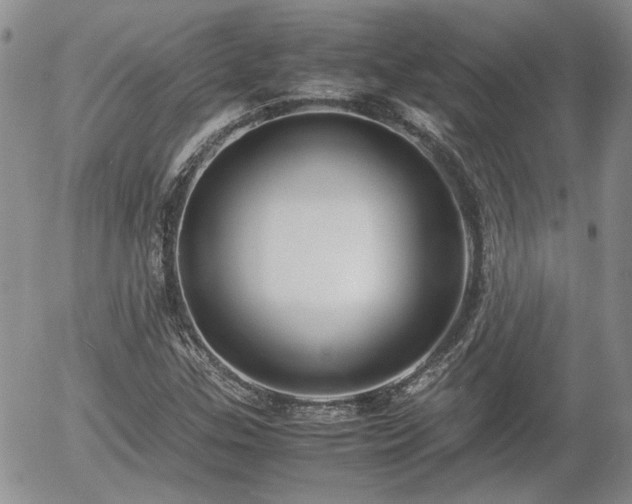X0000058101307200509261159