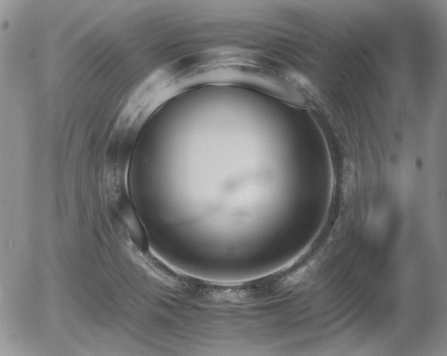 X0000058101321200509261159