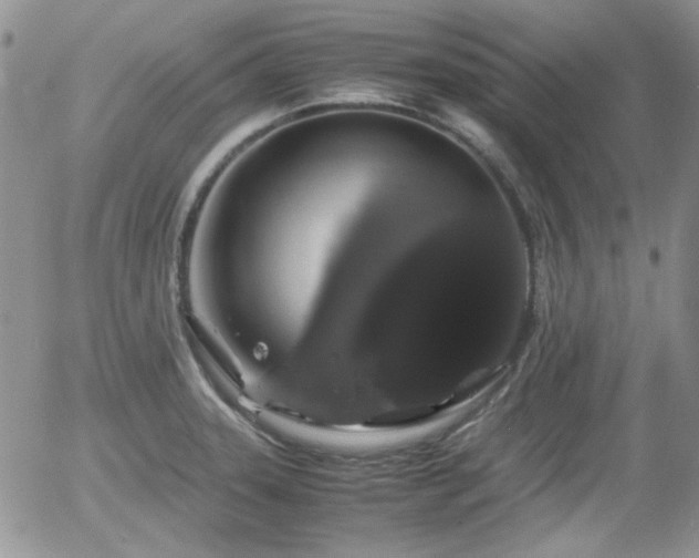 X0000058101331200509261159