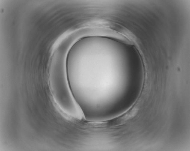X0000058101344200509261200