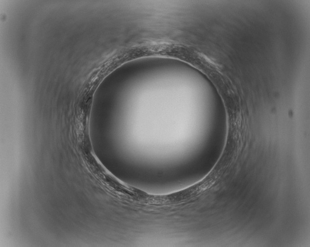 X0000058101349200509261159
