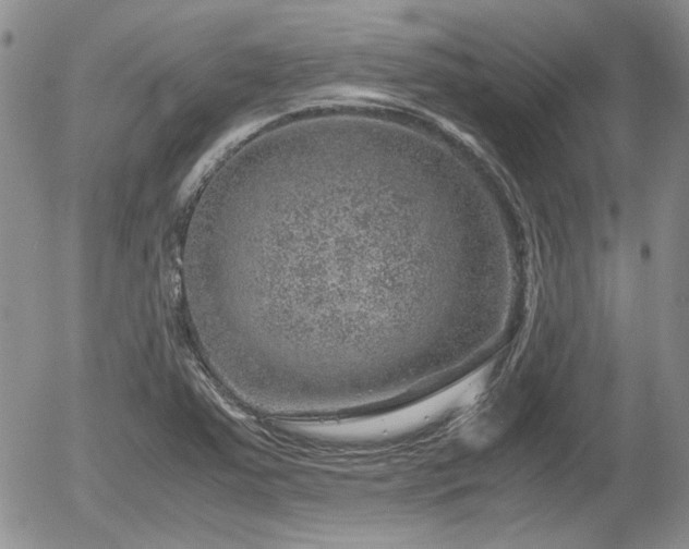 X0000058101363200509261158