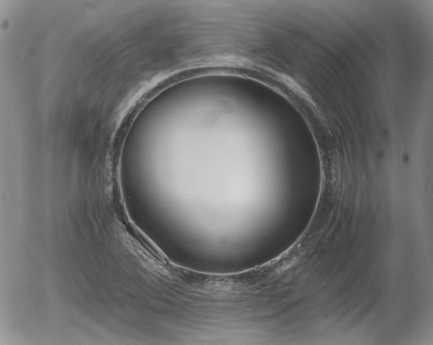 X0000058101364200509261158