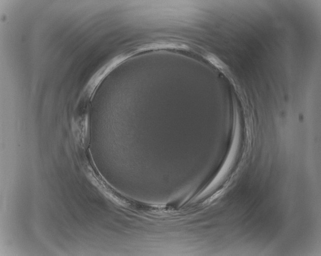 X0000058101369200509261158