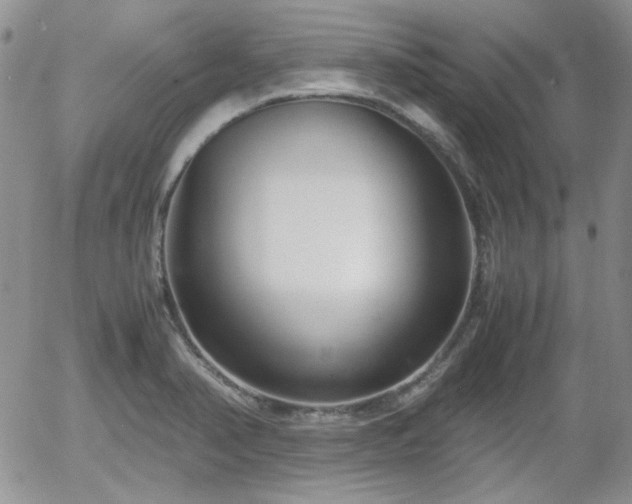 X0000058101374200509261158