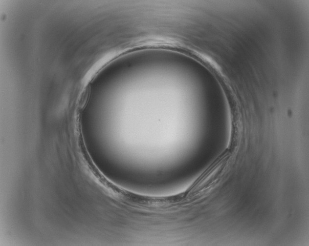 X0000058101375200509261158