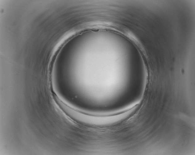 X0000058101384200509261158