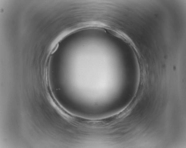 X0000058101391200509261158