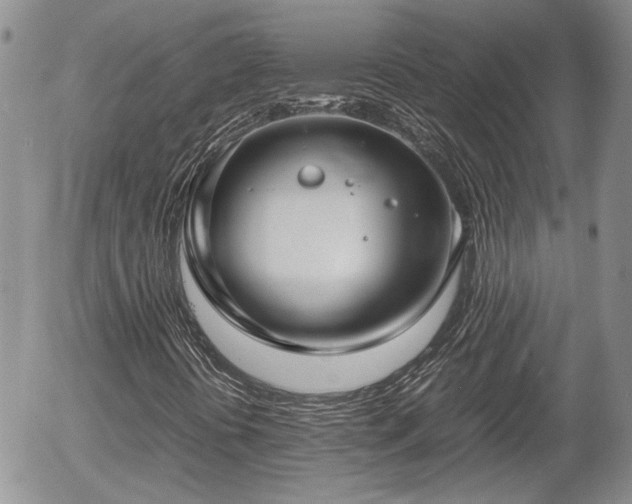 X0000058101394200509261157