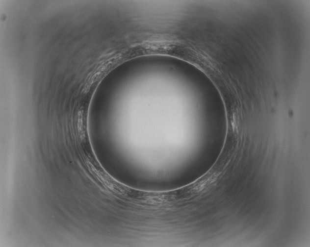 X0000058101396200509261157