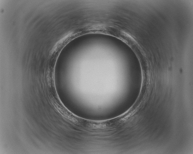 X0000058101403200509261157