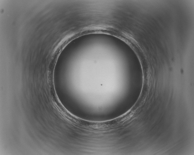 X0000058101404200509261157