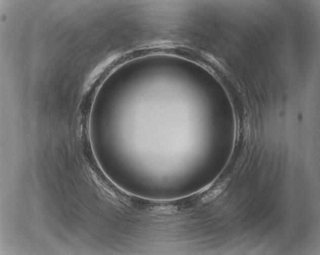 X0000058101406200509261157