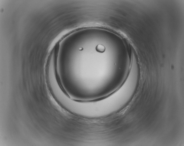 X0000058101422200509261158