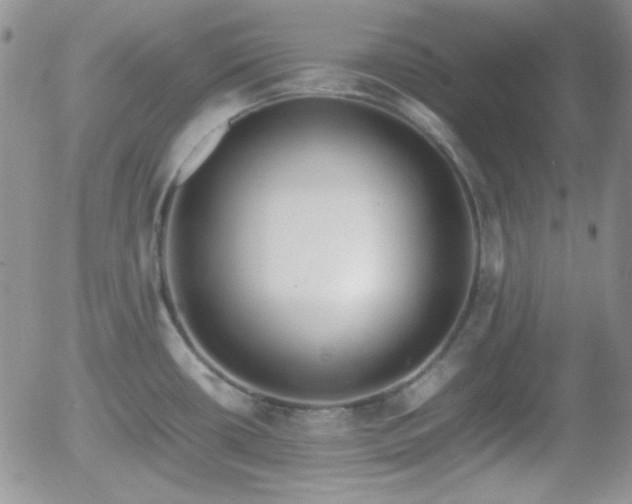 X0000058101434200509261158