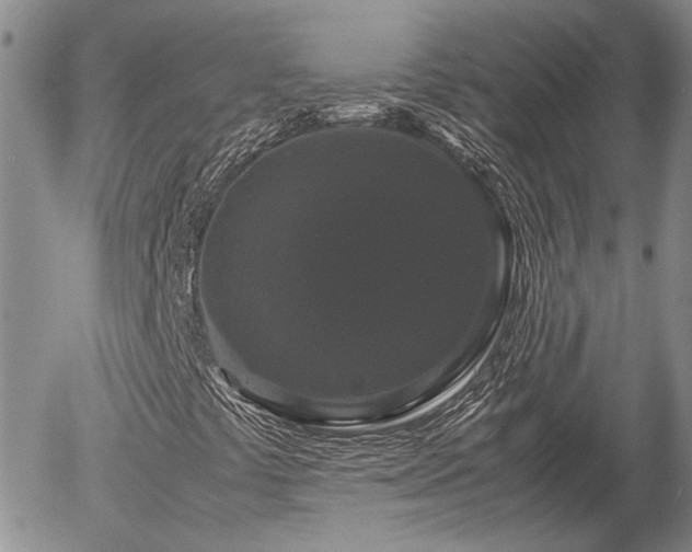 X0000058101441200509261157