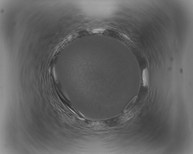 X0000058101443200509261157