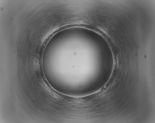 X0000058101452200509261157