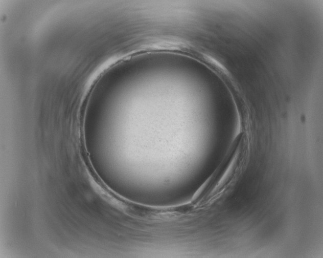 X0000058101471200509261157