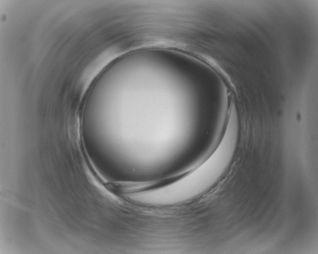 X0000058101476200509261157