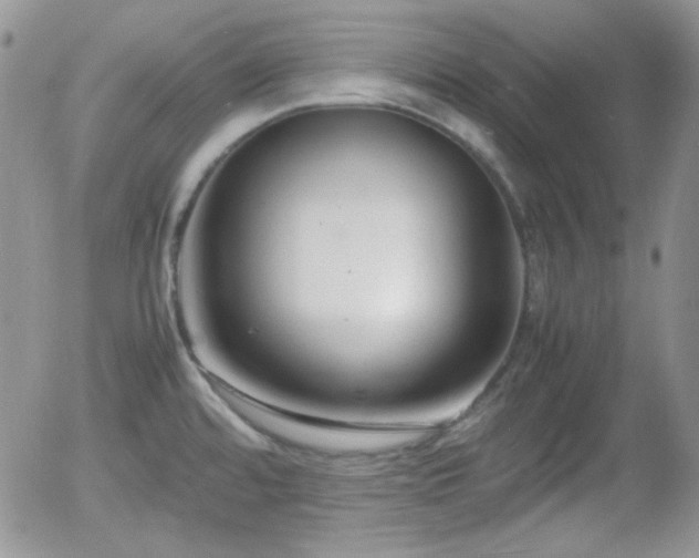 X0000058101480200509261157