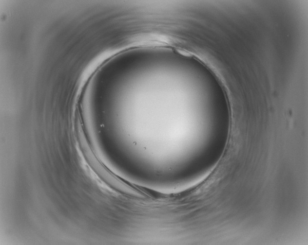 X0000058101488200509261156