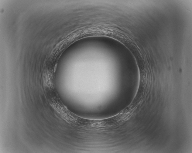 X0000058101490200509261155