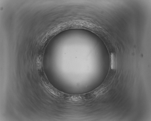 X0000058101491200509261156