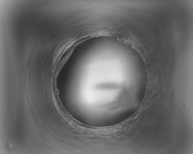 X0000058100001200509301847