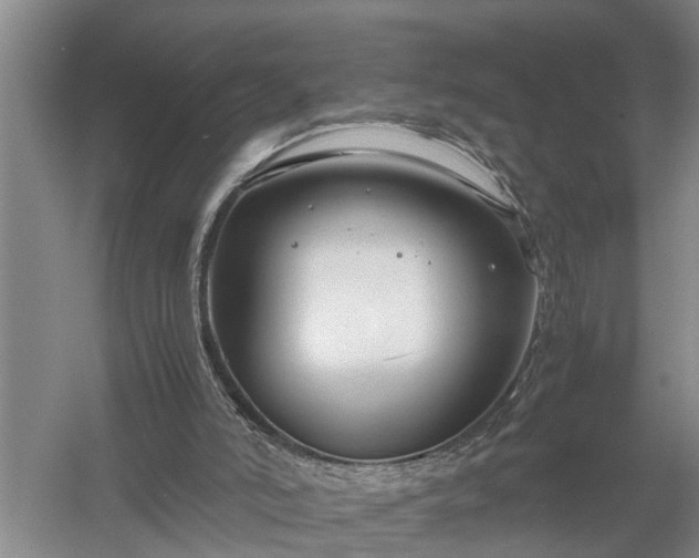 X0000058100006200509301846