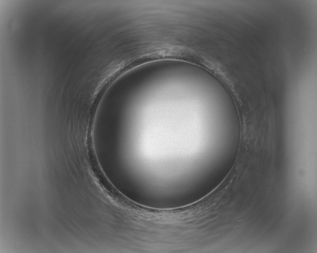 X0000058100010200509301846