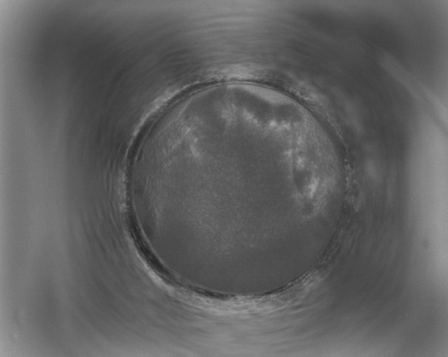 X0000058100012200509301846