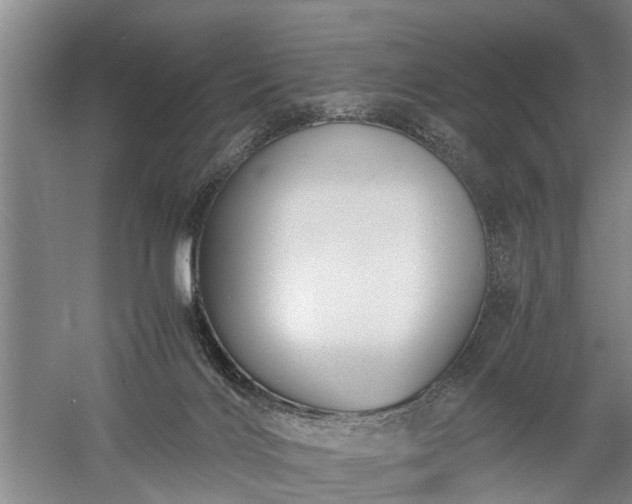 X0000058100028200509301846