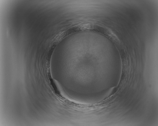 X0000058100029200509301846