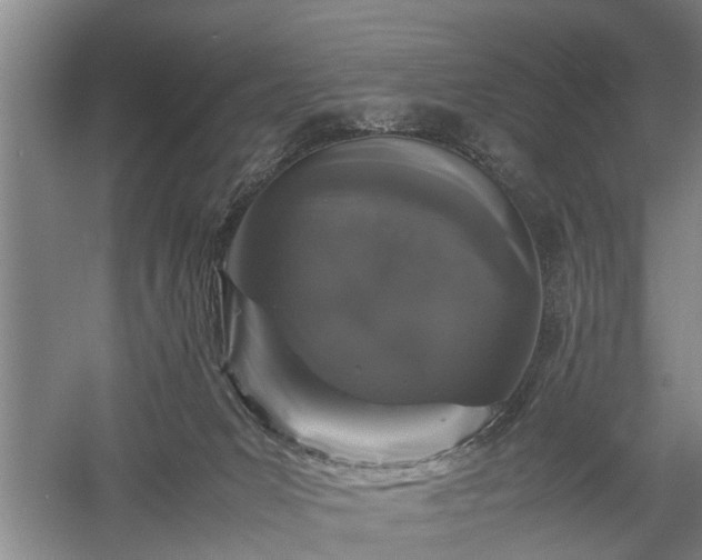 X0000058100031200509301846