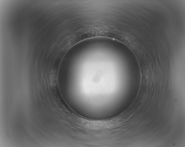 X0000058100034200509301846