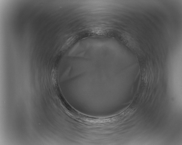 X0000058100036200509301846