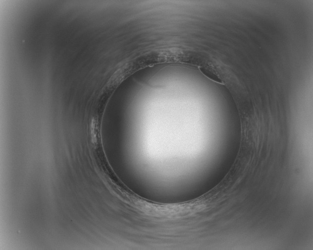 X0000058100038200509301846