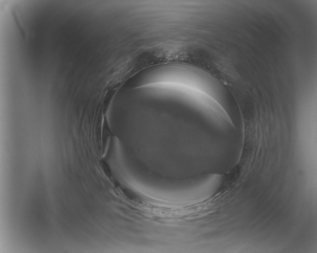 X0000058100039200509301846