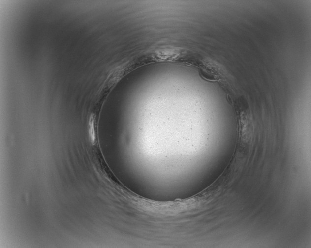 X0000058100042200509301846