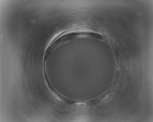 X0000058100052200509301845