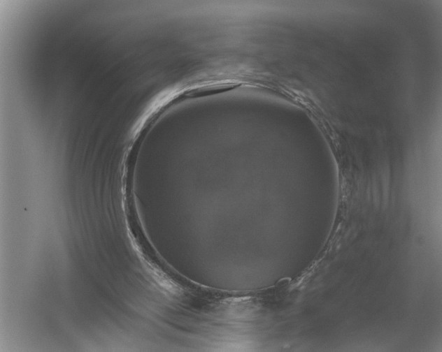 X0000058100054200509301845